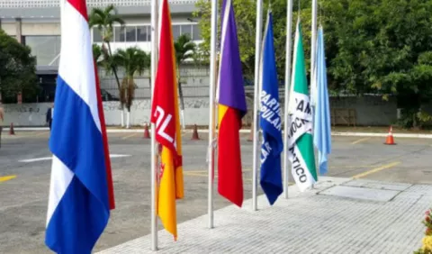 TE establece cifra de adherentes para partidos