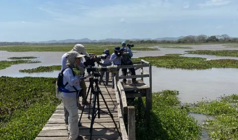 Las aves migratorias acuáticas en Panamá
