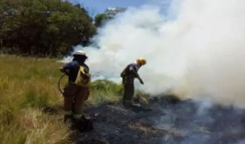 Herbazales se incendian más en el Oeste y Coclé