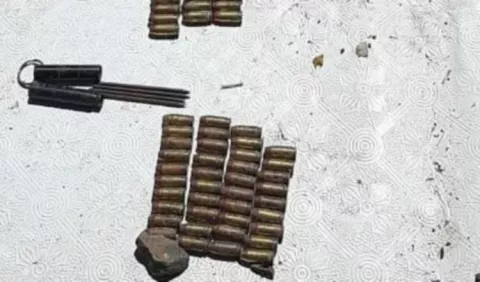 Aumenta el decomiso de armas de fuego y municiones en la provincia de Chiriquí