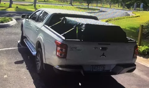 Querella criminal contra dueños de pitbulls, tras ataque en San Carlos