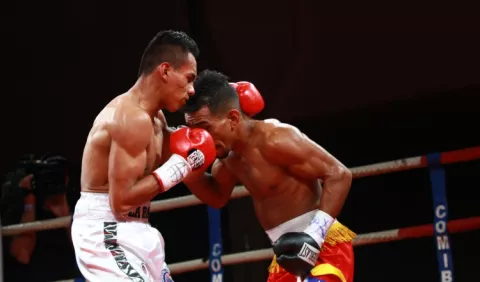 COVID-19 y su golpe al boxeo panameño