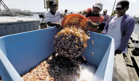 Suspenden temporalmente la pesca de cuatro especies marinas y podrían ampliar la medida a otras 