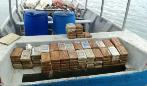 Decomisan 1,425 paquetes de droga 