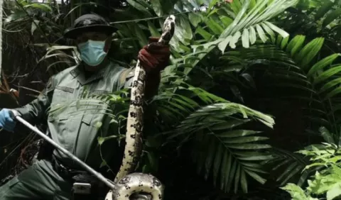 Panamá refuerza estrategia contra los  delitos ambientales