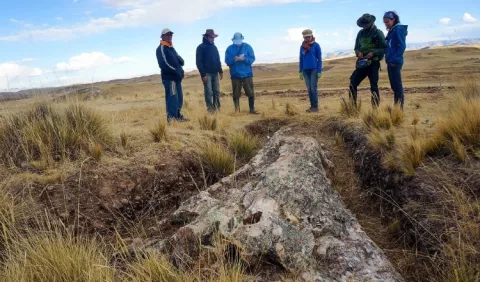 Árbol fósil reconfigura el paisaje de los Andes