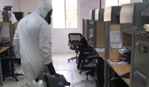 Una historia de bonanza  en medio de la pandemia     