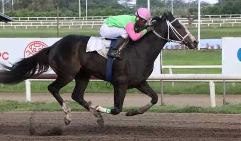 Arranca  hoy programación hípica con ocho carreras en el Hipódromo Presidente Remón