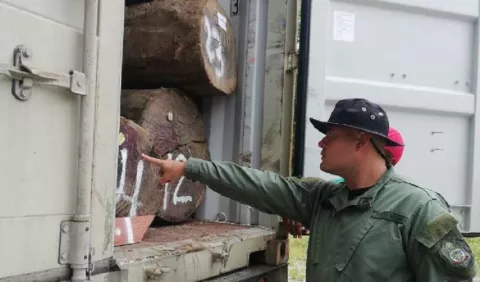 Delincuentes ecológicos se modernizan en Panamá y atentan contra la naturaleza en Darién 