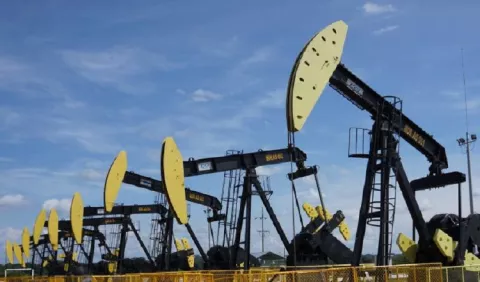 La OPEP revisa al alza el consumo mundial de petróleo en este año
