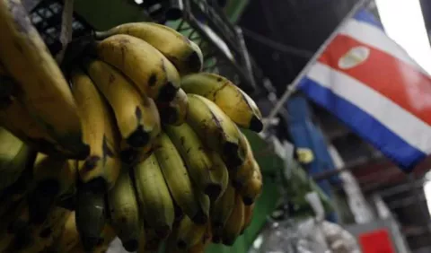 C. Rica establece medidas fitosanitarias 