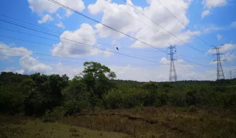 Un tercio de la cuarta línea de transmisión pasará por Ngäbe Buglé