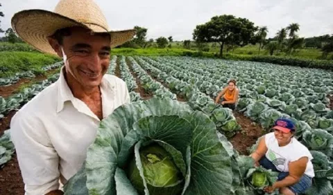Transformando los sistemas agroalimentarios: de la visión global a la acción regional