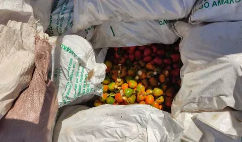 Contrabando y alza de combustible, duros golpes para productores