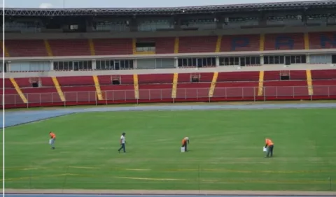 Héctor Brands cree que hay que 'descentralizar' el mantenimiento de las infraestructuras deportivas