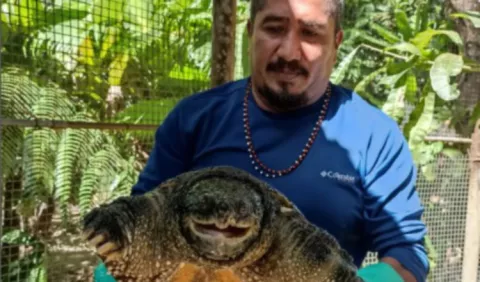 Alimentación influye en el costo del rescate animal 