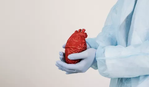 Innovaciones para el trasplante de corazón o pulmón