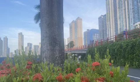 Panamá, optimista en salir de lista gris del Gafi en 2023
