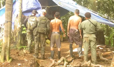 ¿Se castigan menos los delitos ambientales en Panamá?