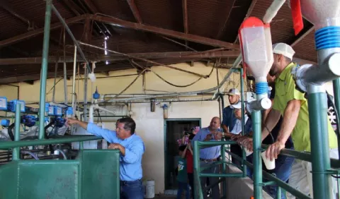 Análisis de datos por inteligencia artificial llegan al sector lechero