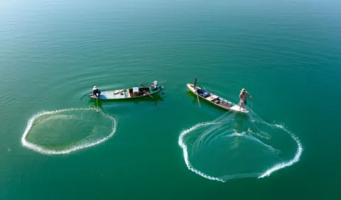 Pesca de arrastre revive pugna entre pescadores y grupos ambientalistas