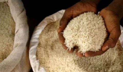 Arroz del IMA llegaría en dos semanas al país