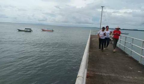 Mirador de Palo Seco busca fortalecer el turismo 