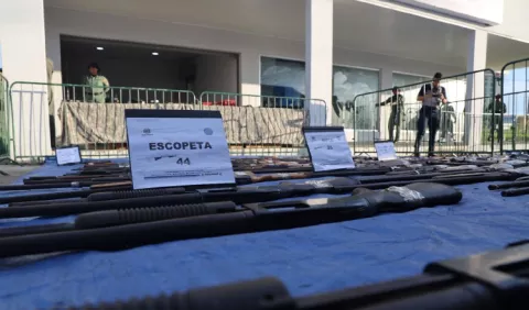 Más de 1,600 armas han sido decomisadas en el 2024