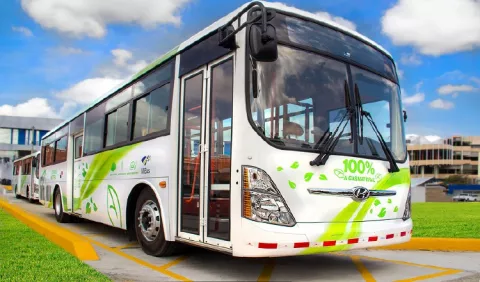 Gas natural, una opción sostenible para el transporte público