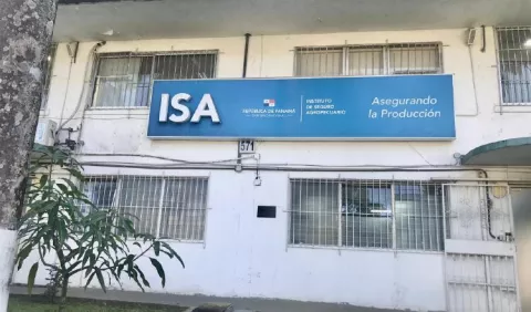 Más de 1,800 hectáreas afectadas por las lluvias