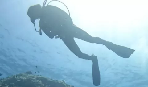 En la Costa Arriba de Colón fortalecen el turismo de buceo