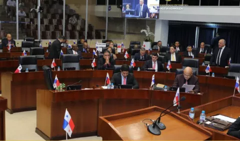 Omisión en un artículo impide a diputados darle tercer debate a proyecto