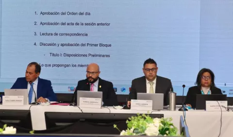 Propuesta para crear un censo electoral no logró ser aprobada