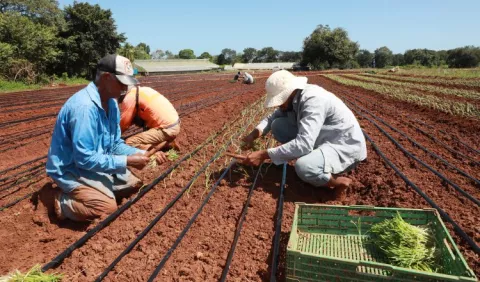 La migración interna impacta al sector agro en las provincias