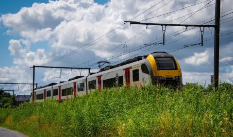 Empresas de la UE podrían participar en licitaciones del tren Panamá - Frontera