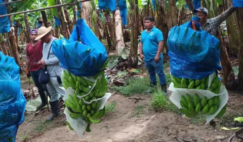 Retorno de Chiquita debe definirse en el encuentro de Brasil