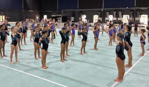 Gimnasia panameña tiene nuevos retos internacionales