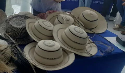 Impacto económico del Festival del Sombrero Pinta'o