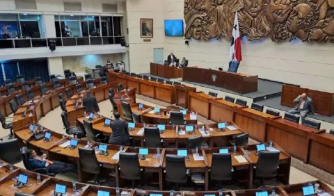 Diez proyectos de ley esperan la decisión del Órgano Ejecutivo