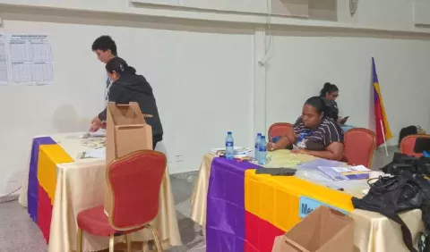 El dilema de favorecer a partidos o abrir las opciones a los electores