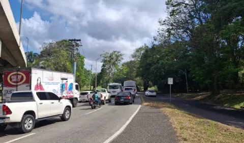 Entidades toman medidas en las carreteras por los carnavales