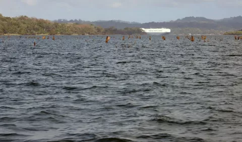Reasentamientos por embalse de Río Indio iniciarán en un año