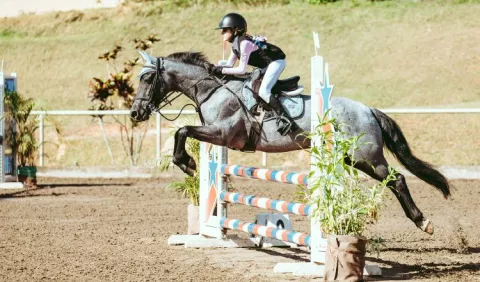 Equitación panameña es adrenalina y elegancia pura
