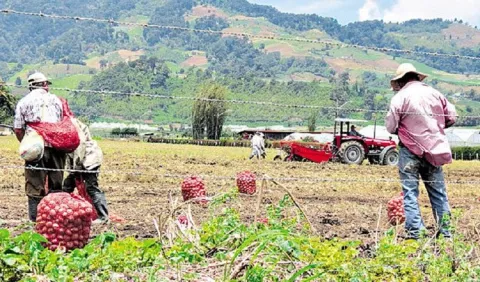 Conflicto en Medio Oriente reorganiza producción local