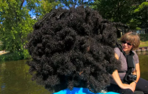 El pelo afro, la reivindicación del orgullo femenino en África