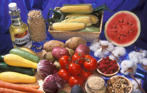 Alimentos transgénicos confunden a consumidores 