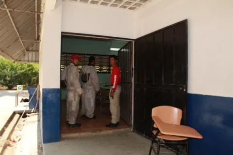 En el primer trimestre se han atendido 500 casos de abejas africanizadas en Los Santos 
