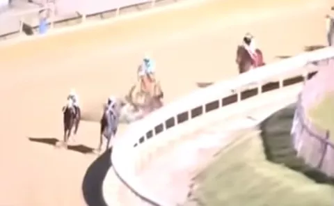 Dos yeguas fueron sacrificadas y tres jockeys quedaron en el hospital 