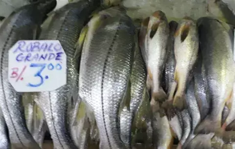 Inicia operativo de verificación de precios y balanzas en Mercado de Mariscos