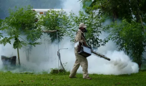 Aumentan casos de Aedes aegypti  en San Miguelito